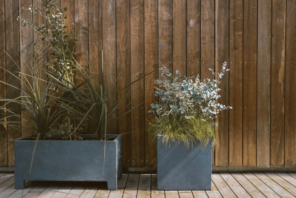 Arbustes en pot sur balcon