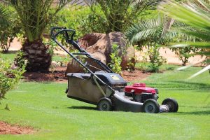 utilisation herbe coupée