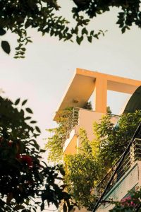 Lire la suite à propos de l’article Quels arbres choisir pour un balcon ?