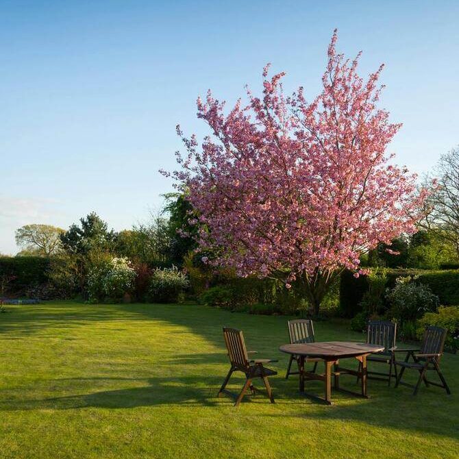 Un salon de jardin en bois