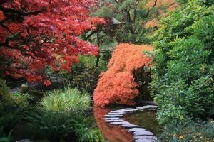 Lire la suite à propos de l’article Comment créer un jardin japonais authentique chez soi