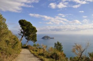 Lire la suite à propos de l’article Créer un jardin de bord de mer