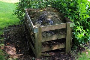 Lire la suite à propos de l’article Comment accélérer la décomposition de l’herbe coupée ?