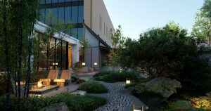 Lire la suite à propos de l’article Comment créer un jardin contemporain : conseils et astuces