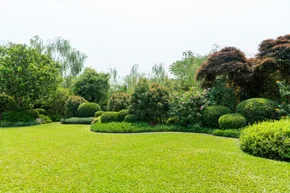 Amenager un jardin