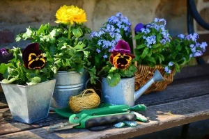 Lire la suite à propos de l’article Que planter au jardin au printemps ?