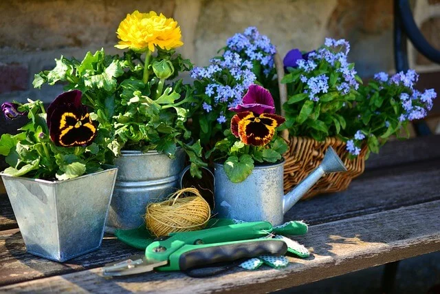 Lire la suite à propos de l’article Que planter au jardin au printemps ?