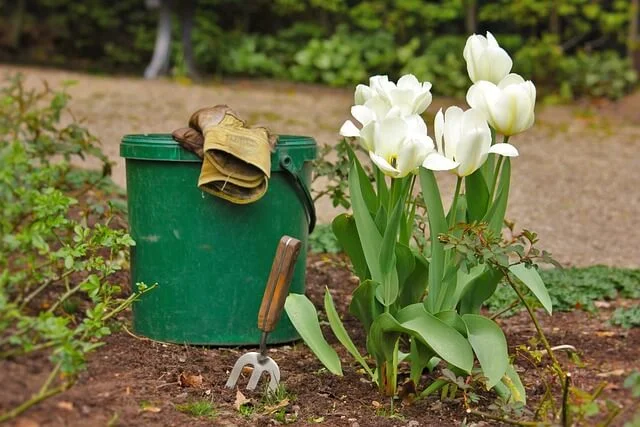 Lire la suite à propos de l’article 5 accessoires de jardinage indispensables