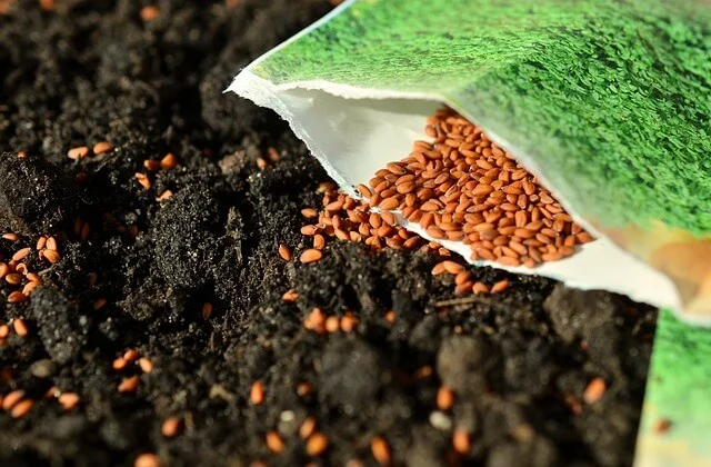 Planter des fleurs en avril