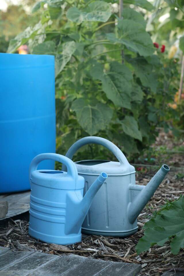 You are currently viewing Comment récupérer l&rsquo;eau de pluie pour arroser son jardin ?