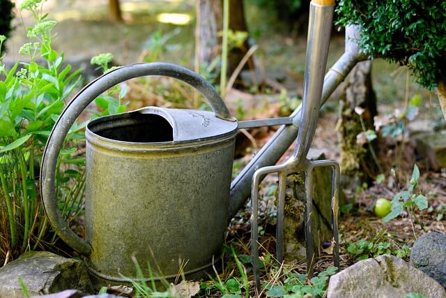 Lire la suite à propos de l’article Arrosoir de jardin : comment choisir le bon modèle ?