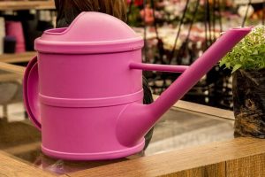 Lire la suite à propos de l’article Arrosoir d&rsquo;intérieur : choisir le bon modèle pour vos plantes vertes
